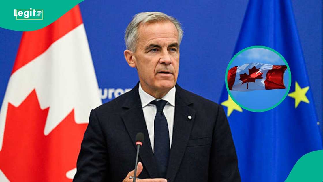 Canada announces categories of study programme for work permit