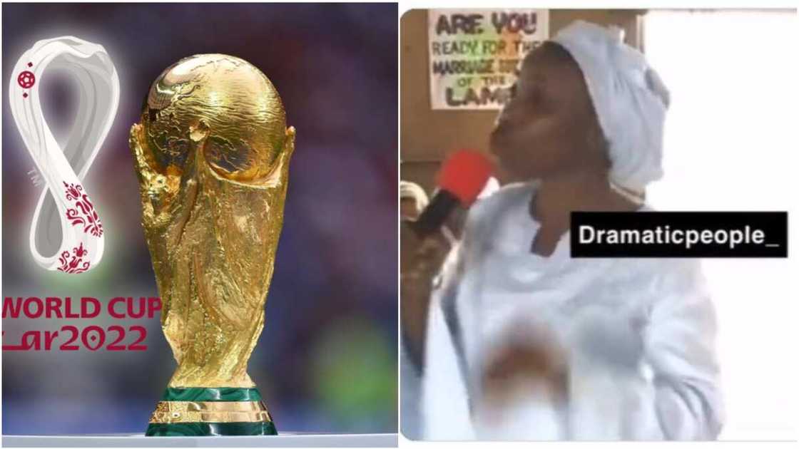 Mummy GO/World Cup Final/Qatar 2022/France/Argentina