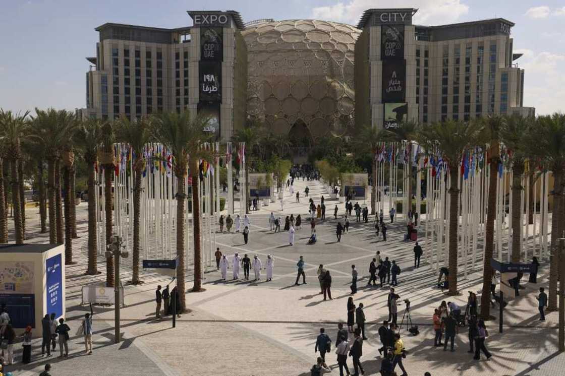 Spectacular: the UN COP28 summit in Dubai is being held on the old Expo 2020 site Spectacular: the UN COP28 summit in Dubai is being held on the old Expo 2020 site