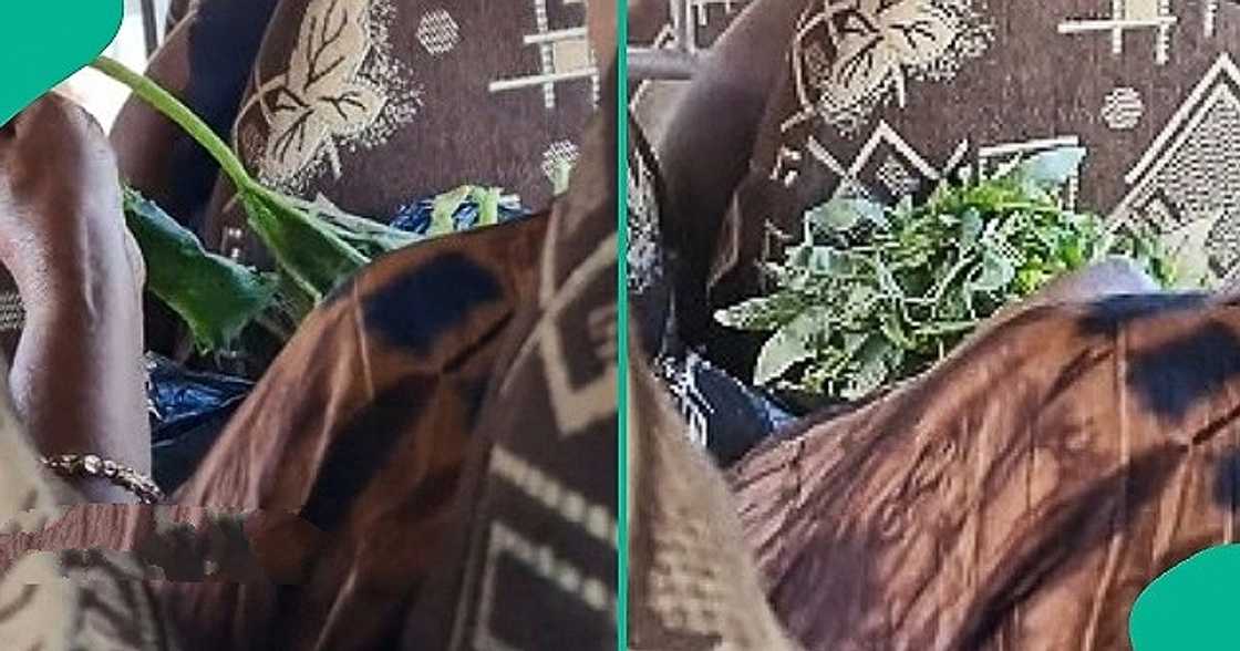 Woman prepares vegetables inside commercial bus