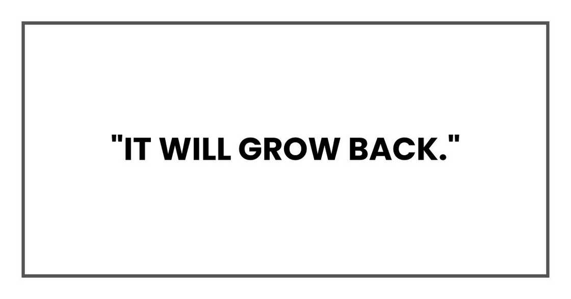 "It will grow back." "It will grow back."