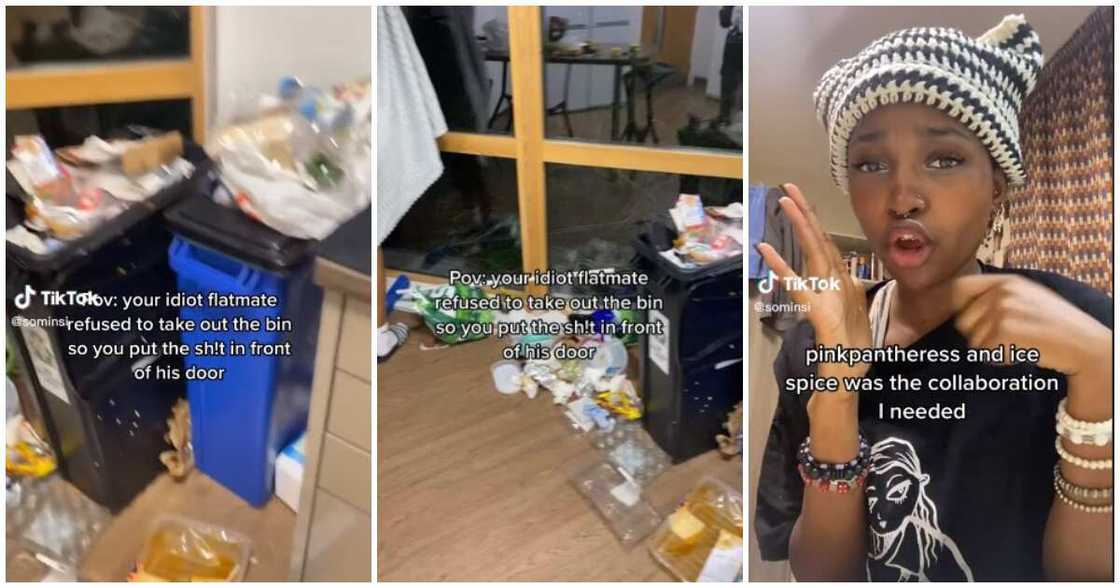 University of Kent, flatmate University of Kent, flatmate