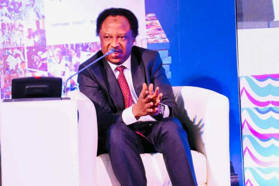 2023 Election, Shehu Sani, APC, PDP, Presidential Candidates 2023 Election, Shehu Sani, APC, PDP, Presidential Candidates