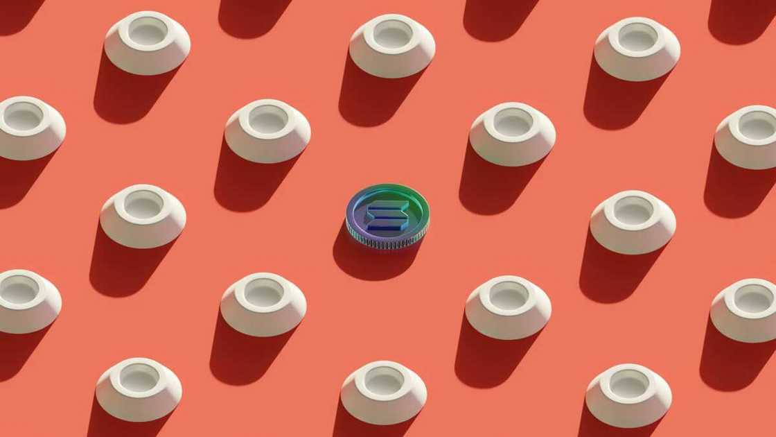 Cryptos: BlockDAG Network’s $600M Attracts Crypto Investors Amid Solana Surge & Galaxy Fox Presale Cryptos: BlockDAG Network’s $600M Attracts Crypto Investors Amid Solana Surge & Galaxy Fox Presale