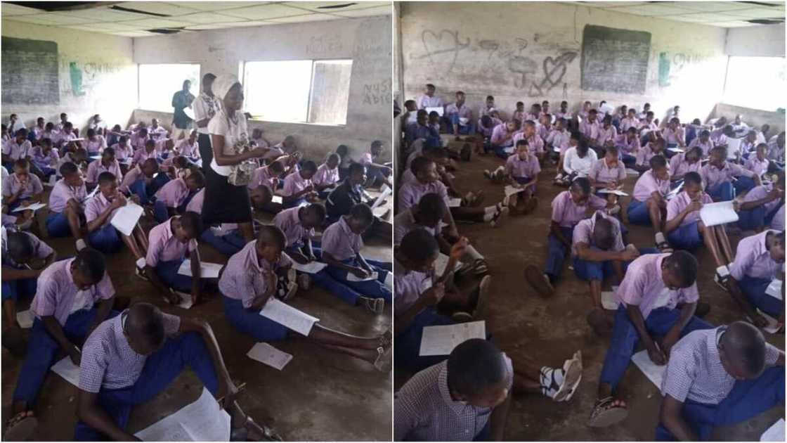 Daliban Ogun Daliban Ogun