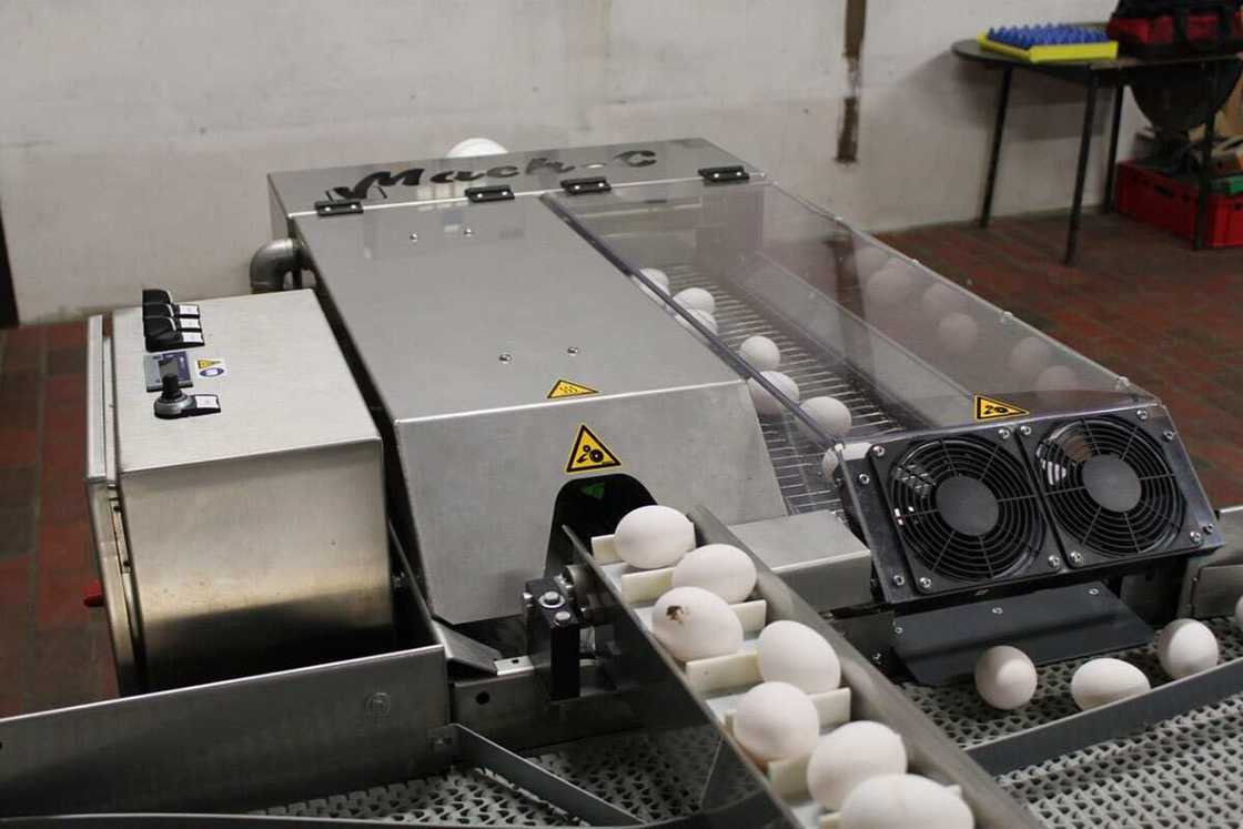 Egg Washer Egg Washer