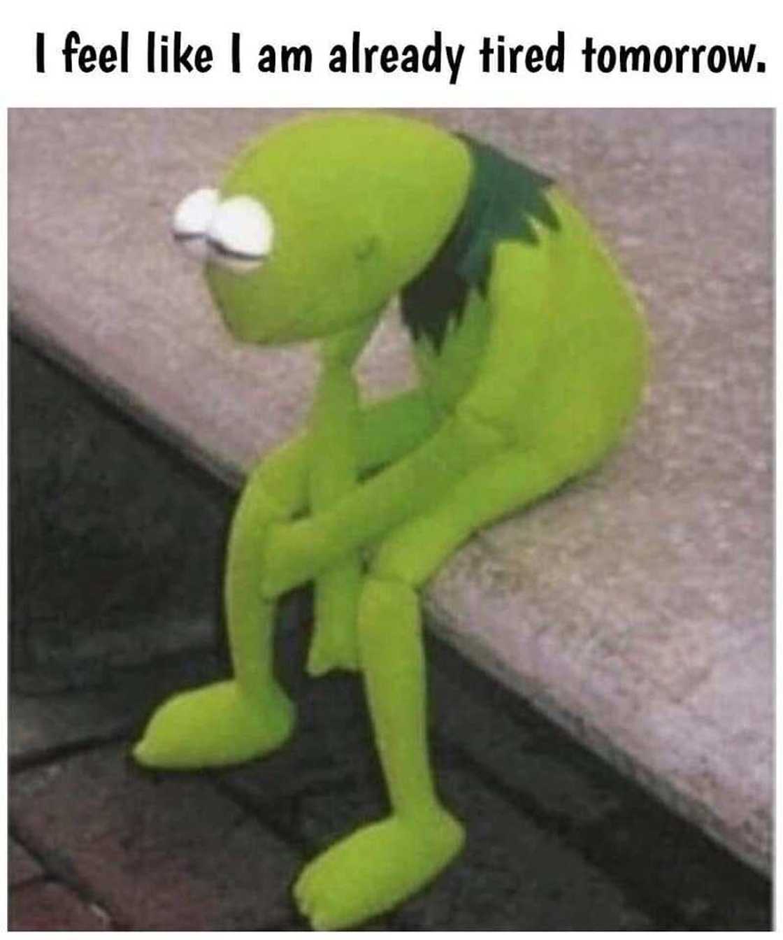 30+ relatable tired meme ideas to exchange with your coworkers 30+ relatable tired meme ideas to exchange with your coworkers