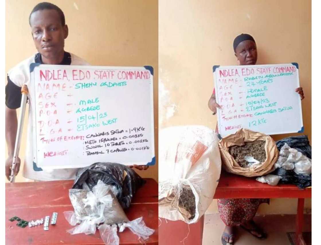 Jami'an NDLEA sun cafke wata mata mai juna biyu da gurgu masu safarar miyagun kwayoyi Jami'an NDLEA sun cafke wata mata mai juna biyu da gurgu masu safarar miyagun kwayoyi