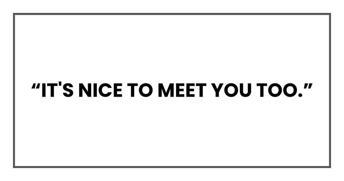“It's nice to meet you too.” “It's nice to meet you too.”