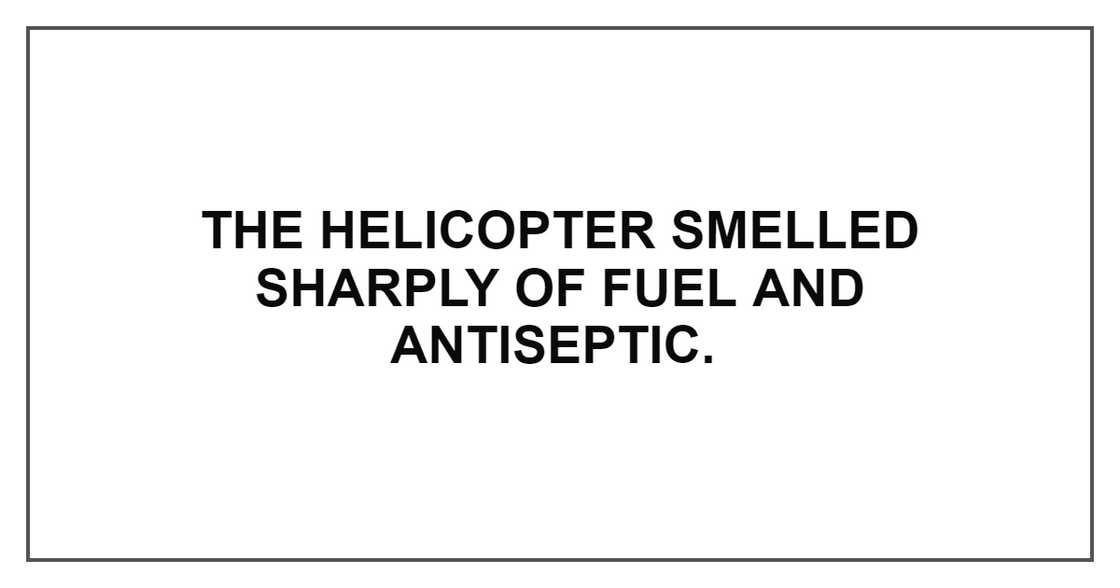 THE HELICOPTER SMELLED SHARPLY OF FUEL