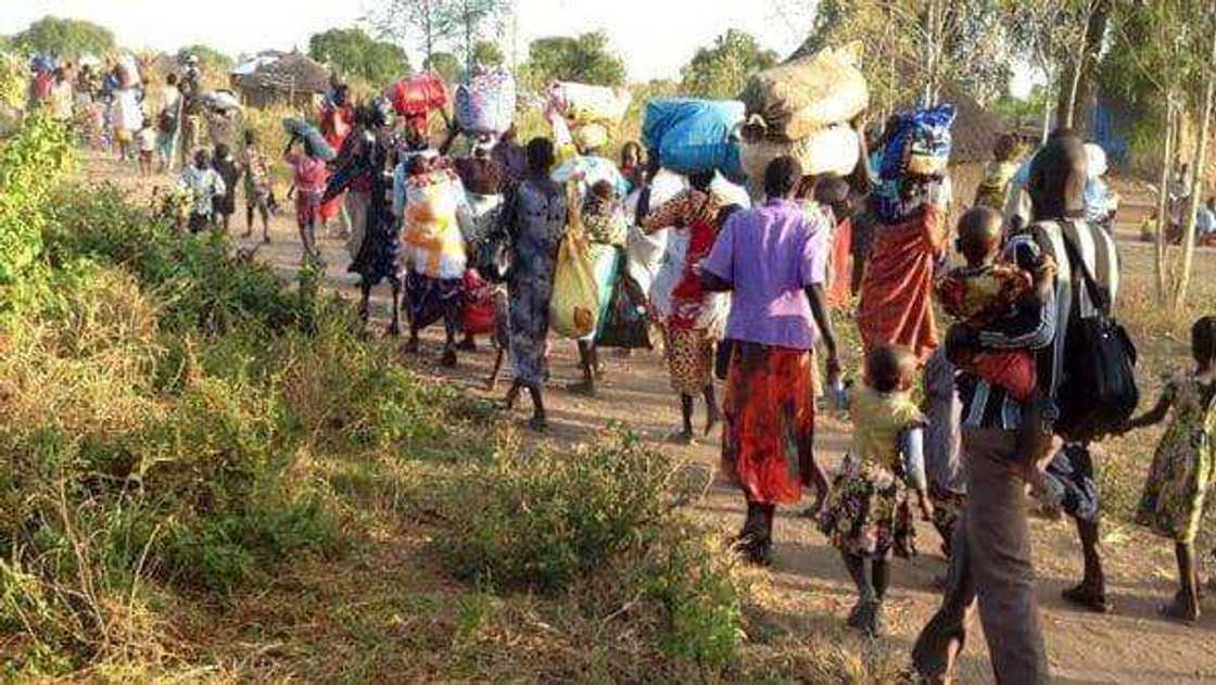Wutar rikicin kabilanci tsakanin Tibabe da Jukunawa na cigaba da ruruwa Wutar rikicin kabilanci tsakanin Tibabe da Jukunawa na cigaba da ruruwa