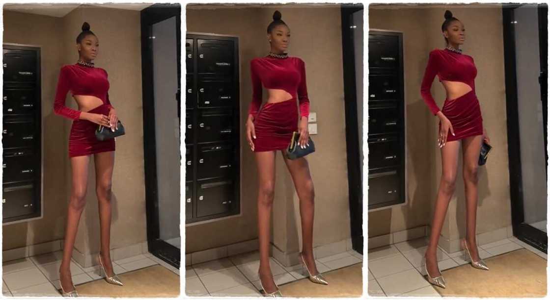 Photos of Gbane Madjalia, a tall model.