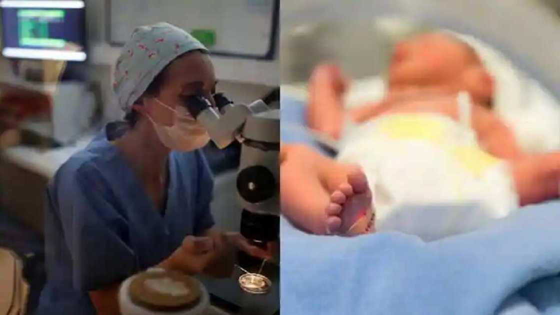 Jaririr UK Jaririr UK