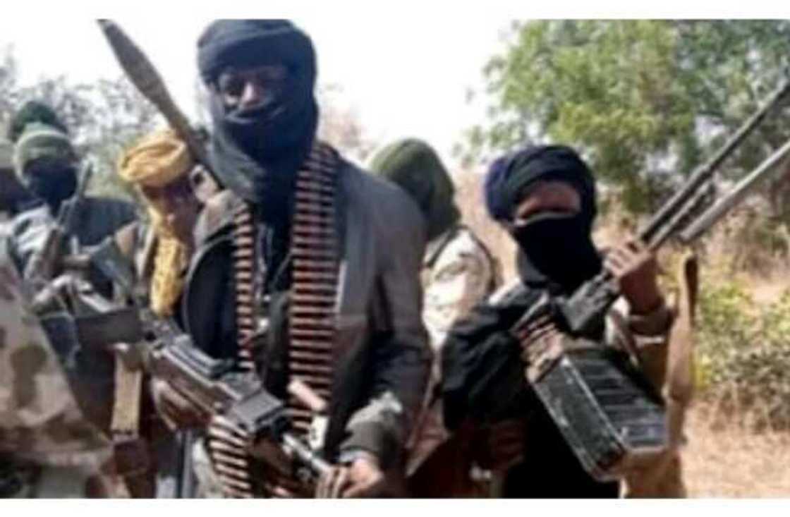 'Yan ta'adda da 'yan sun mamaye murabba'in mita 1,129 na gandun dajin Najeriya 'Yan ta'adda da 'yan sun mamaye murabba'in mita 1,129 na gandun dajin Najeriya