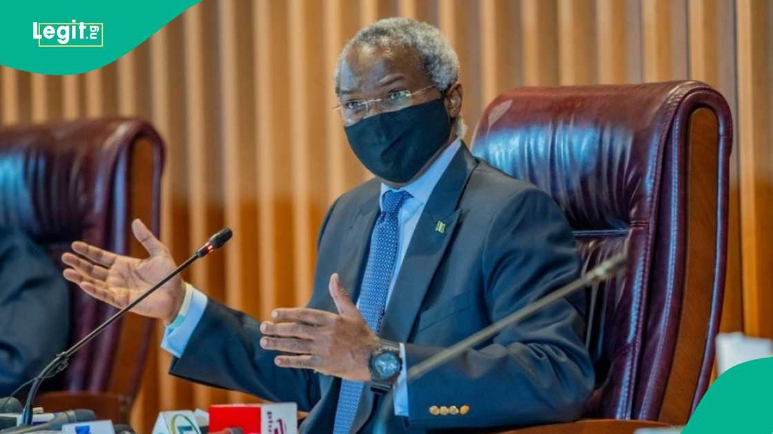 Babatunde Fashola has questioned why politicians' children don't join political rallies and campaigns. Babatunde Fashola has questioned why politicians' children don't join political rallies and campaigns.