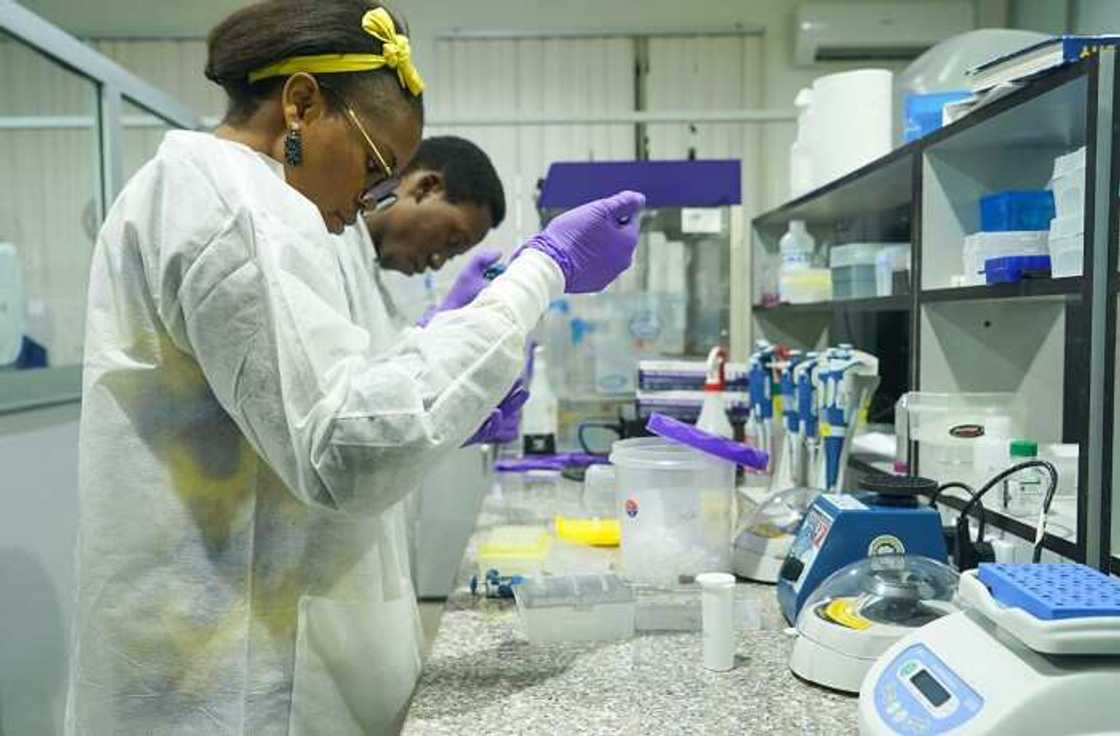 Nigeria innovation ranking Nigeria innovation ranking