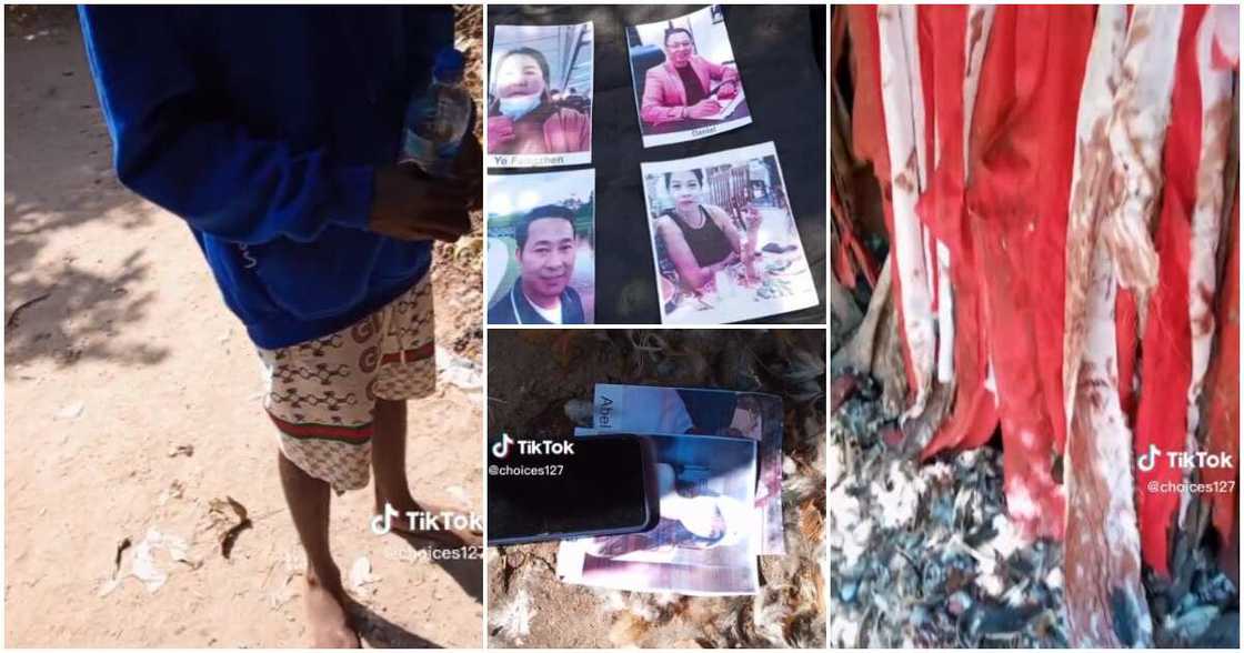 Shrine, Oyinbo, man, cow, Nigerian man Shrine, Oyinbo, man, cow, Nigerian man