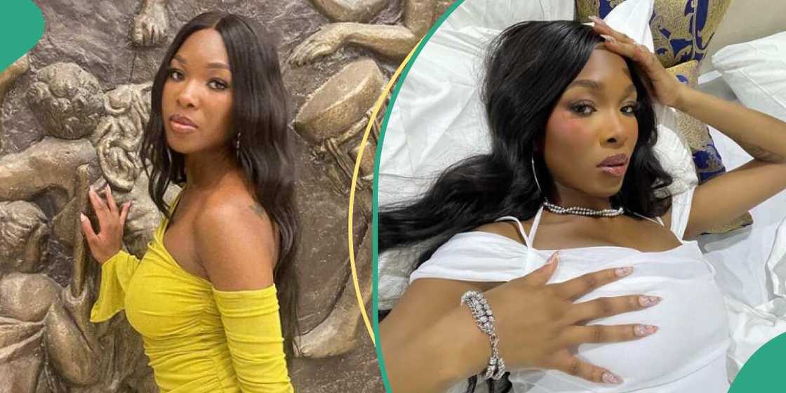 BBNaija Vee replies toaster on X BBNaija Vee replies toaster on X