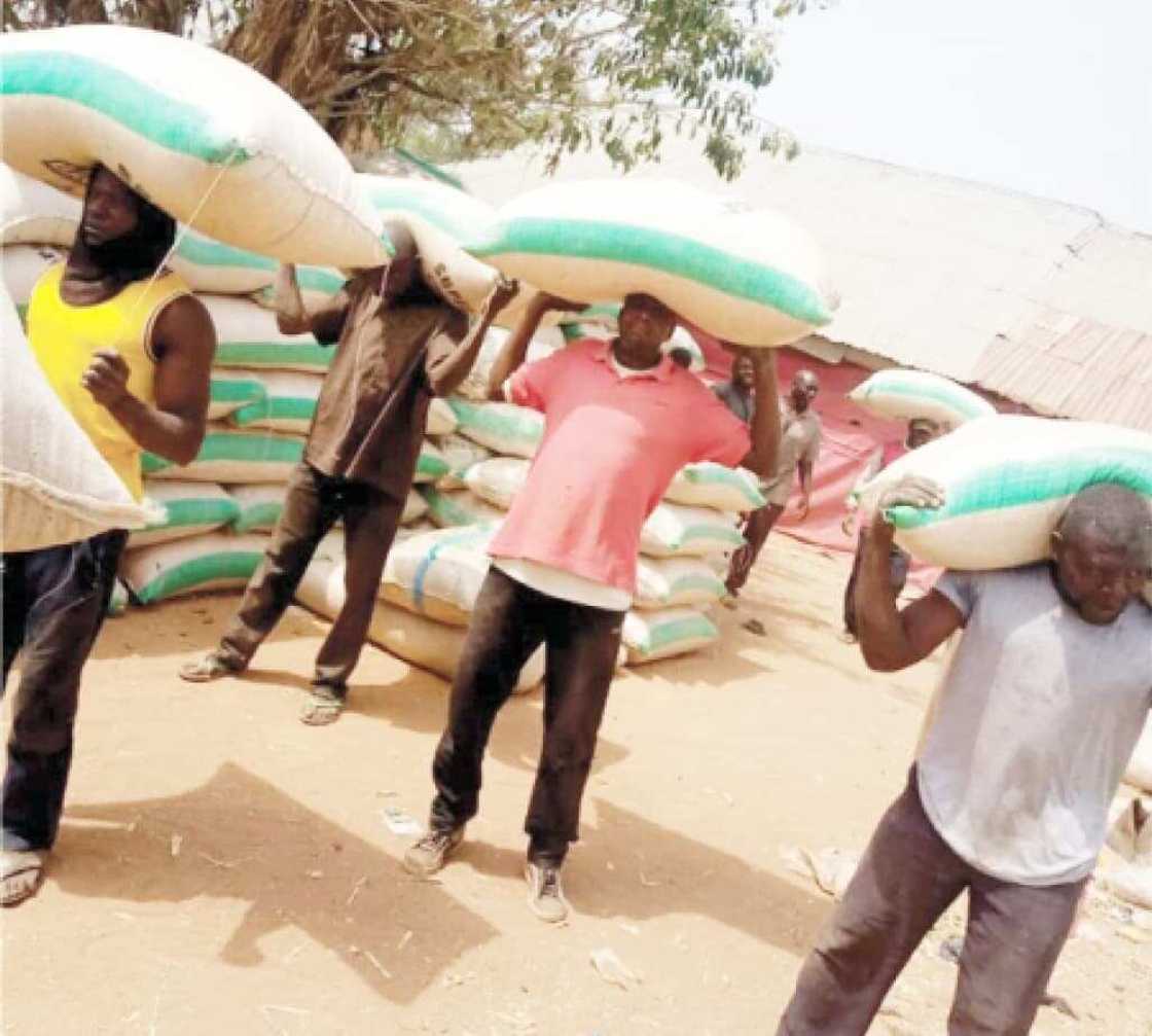 Mutane 7 sun jikkata yayin zaben kungiyar ‘yan dako a Taraba