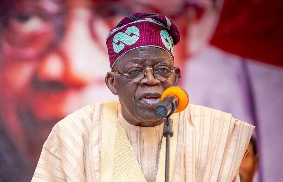 Bola Tinubu