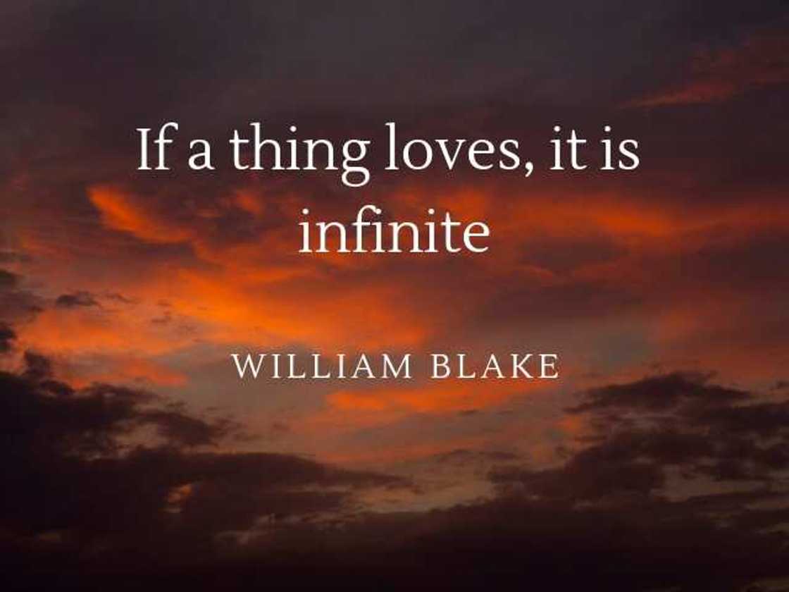 Blake quote Blake quote