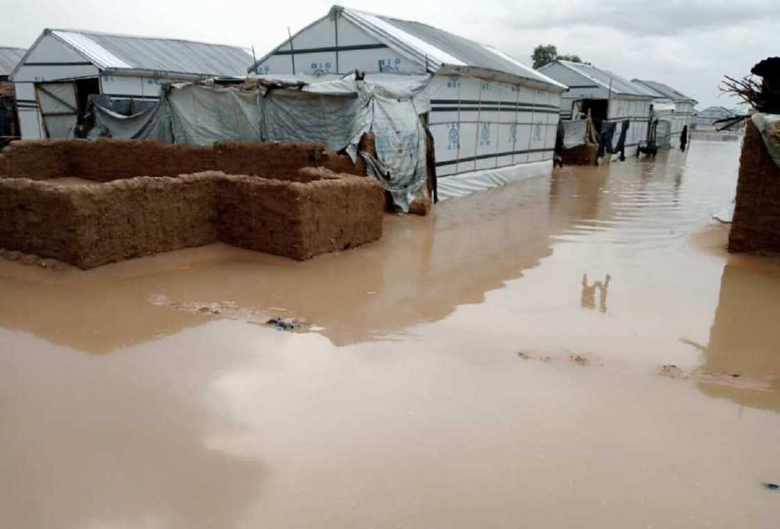 Ambaliya: Ruwan sama yayi awon gaba da sansanin 'yan gudun hijira a Borno Ambaliya: Ruwan sama yayi awon gaba da sansanin 'yan gudun hijira a Borno