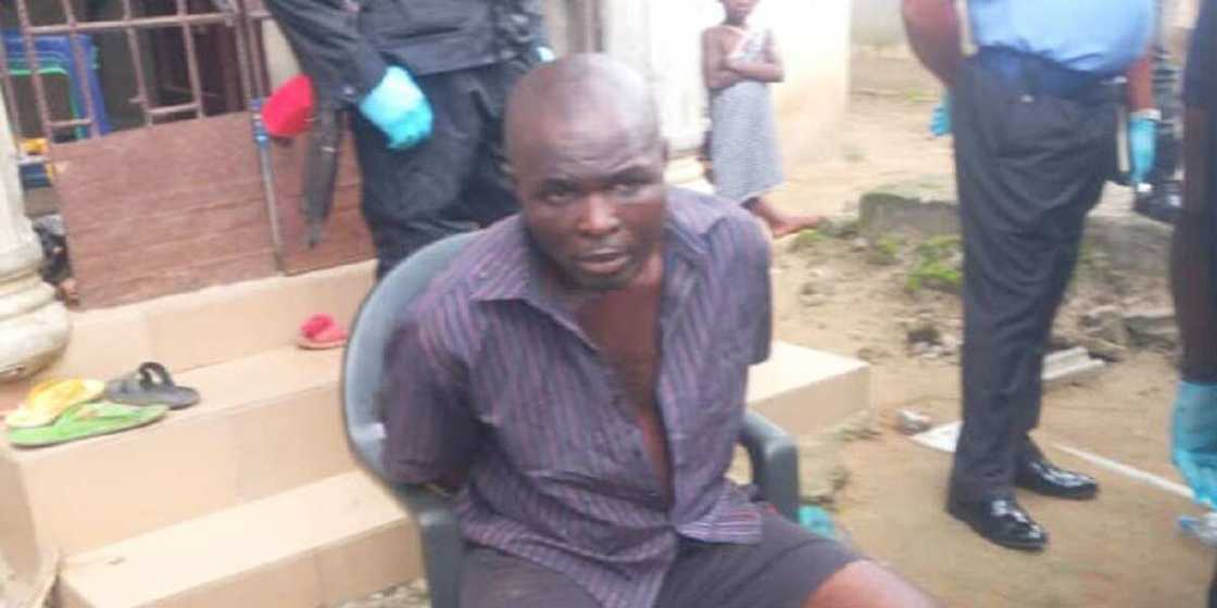 Yadda aka gano gawa da kawunan mutum uku a 'shadda' Yadda aka gano gawa da kawunan mutum uku a 'shadda'