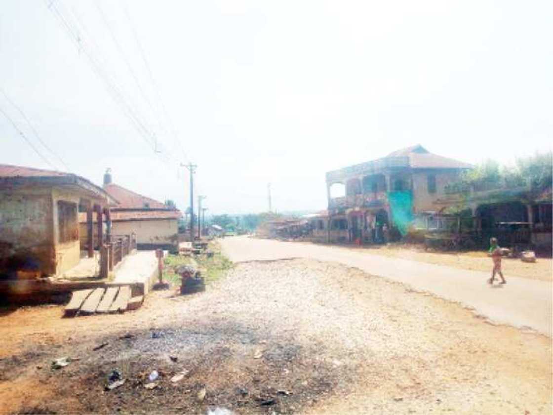 Ara: Wani karamin gari a Najeriya da aka haramta kiwon karnuka Ara: Wani karamin gari a Najeriya da aka haramta kiwon karnuka