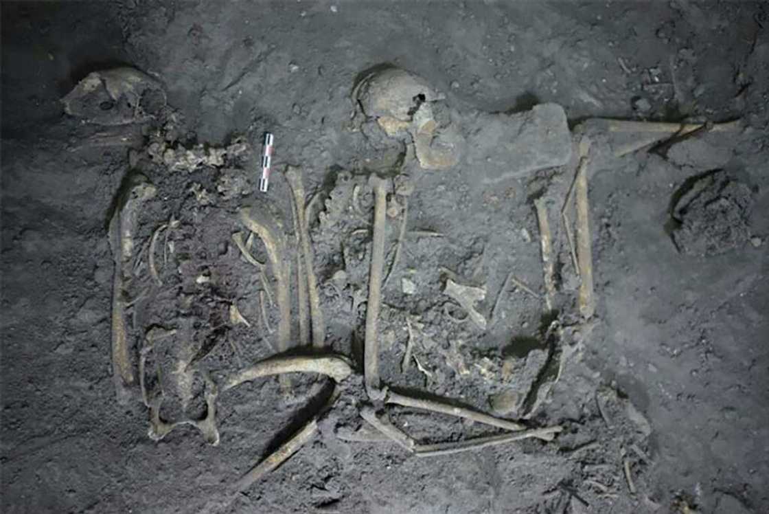 This handout image provided by Nawa Sugiyama of the University of California Riverside on November 21, 2022, shows the complete skeletal remains of a 1,700 year old female spider monkey that was found in Teotihuacan, Mexico This handout image provided by Nawa Sugiyama of the University of California Riverside on November 21, 2022, shows the complete skeletal remains of a 1,700 year old female spider monkey that was found in Teotihuacan, Mexico