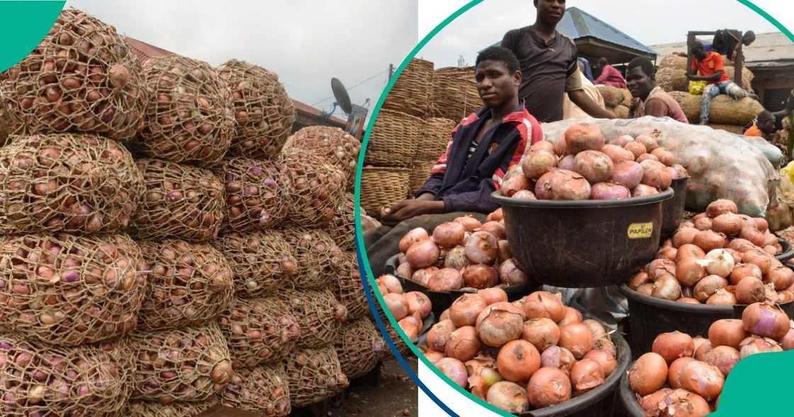 Onion prices surge by 233% in Lagos as scarcity bites Onion prices surge by 233% in Lagos as scarcity bites
