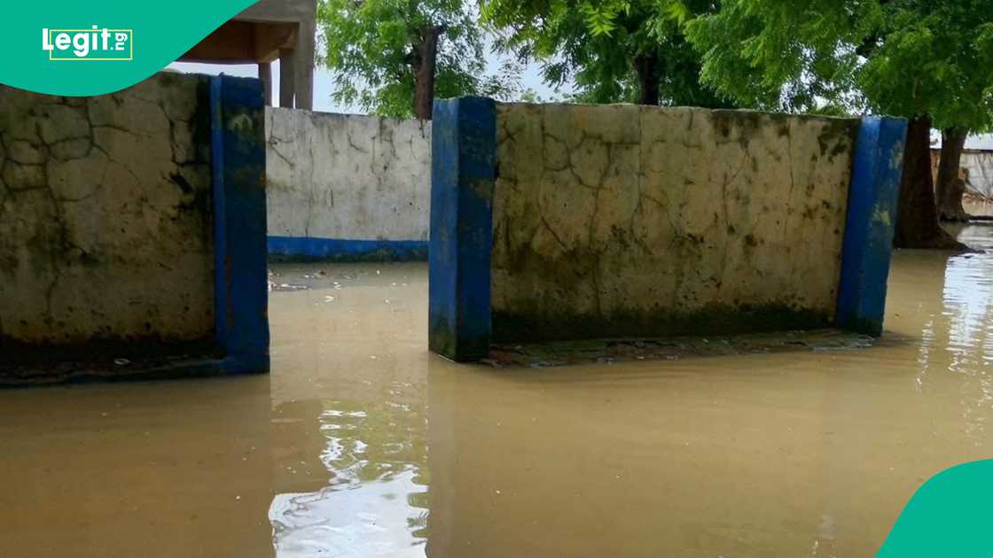 Families in Sokoto State have lost properties to heavy flooding, Farmers vacate farmlands after effect of the heavy flood, Community leaders in Sokoto begs for government intervention, Reseidents recount how NEMA responded swiftly to the incident
