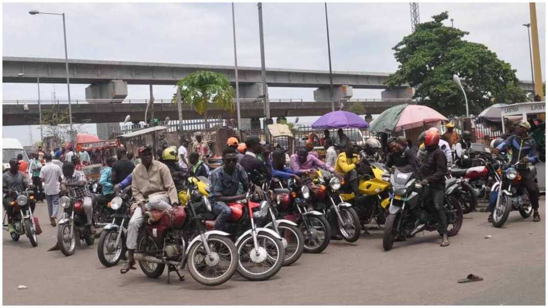 Associatin begs FG not to ban okada Associatin begs FG not to ban okada