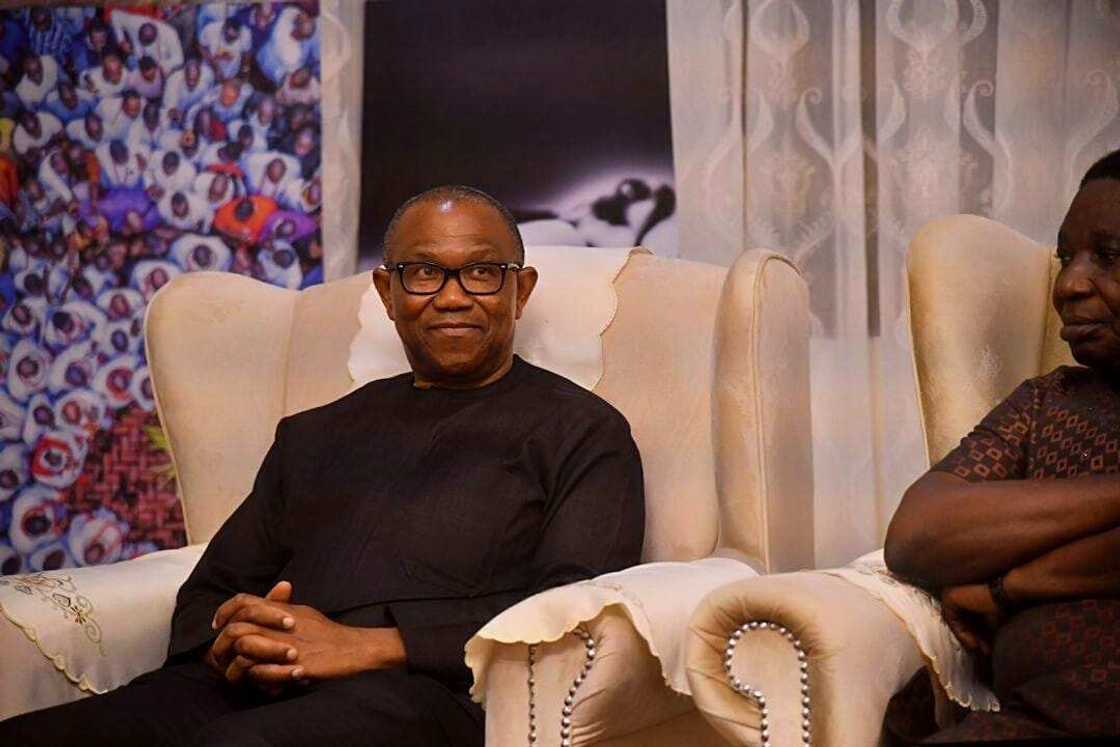 Peter Obi/Labour Party/2023 elections/Nigeria economy