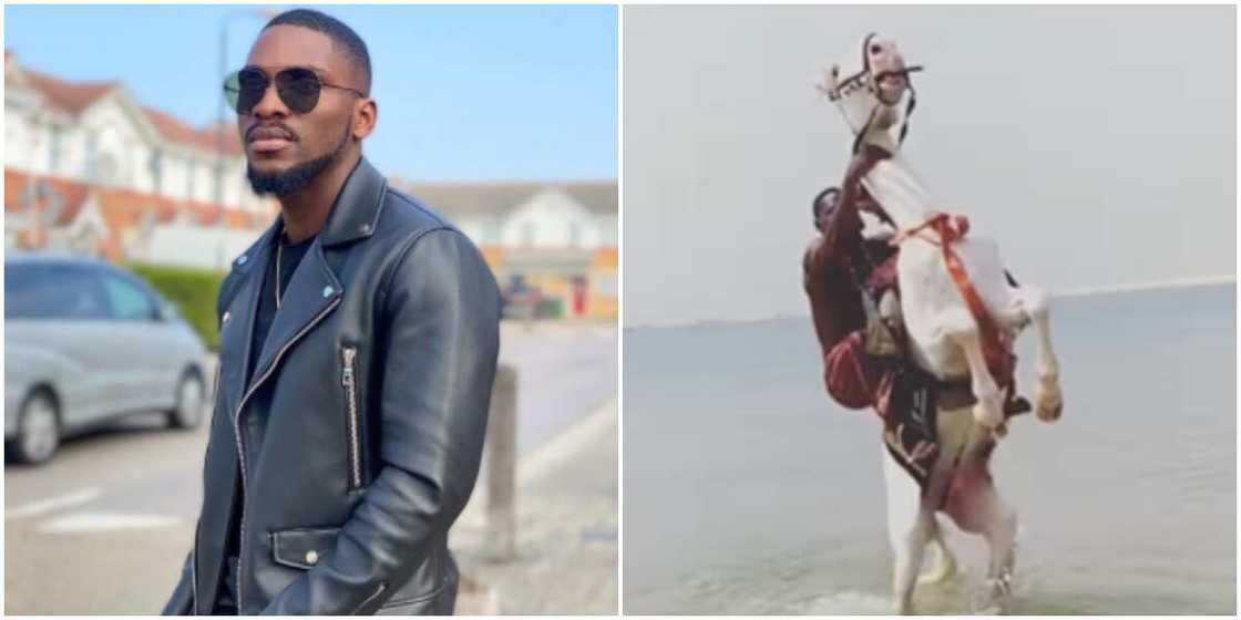 Tobi Bakre falls off horse Tobi Bakre falls off horse