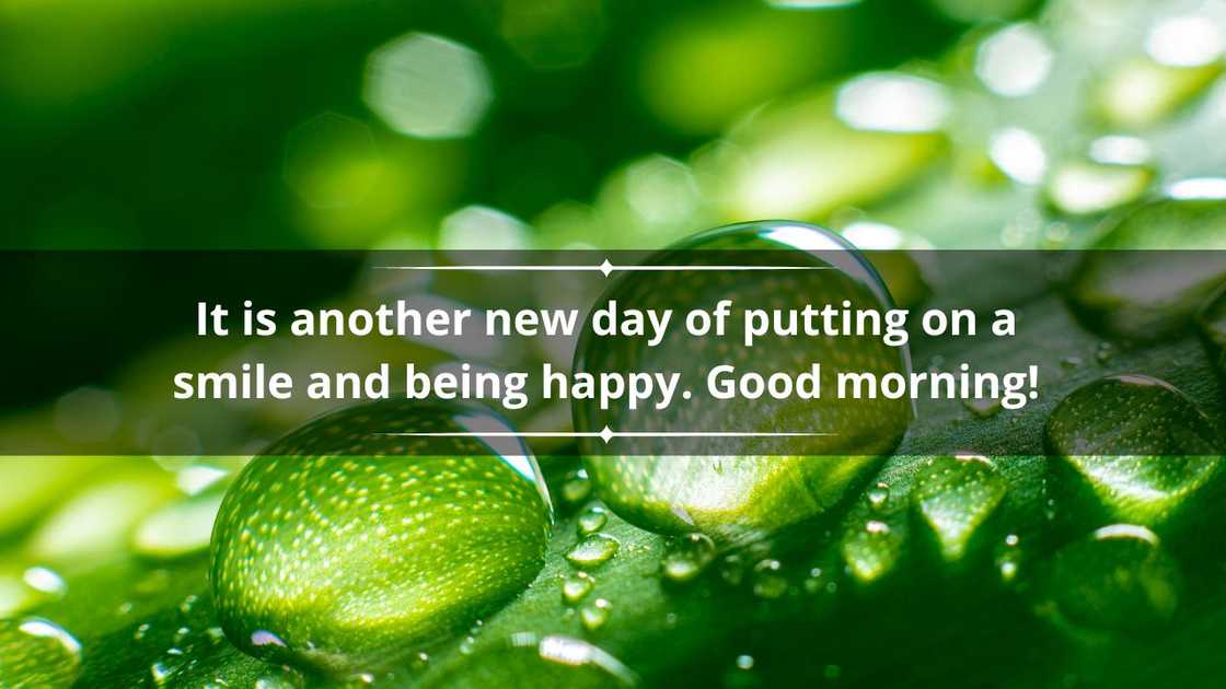 Romantic and sweet good morning messages for my wife Romantic and sweet good morning messages for my wife