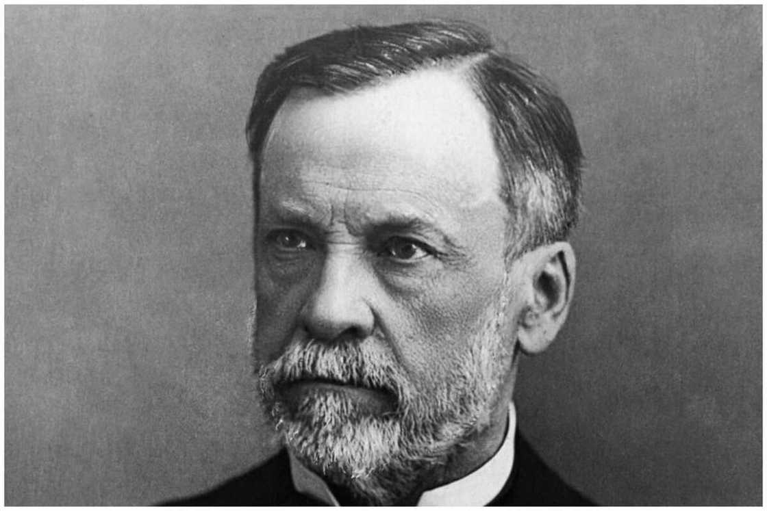 Famous French celebrities Famous French celebrities