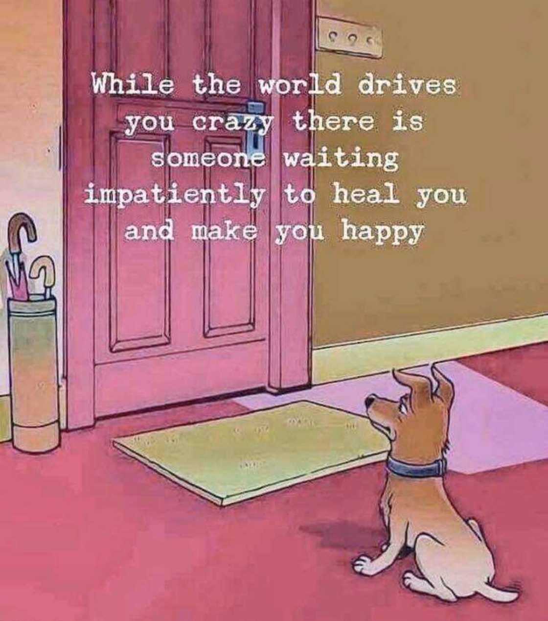 Happy hump day images Happy hump day images