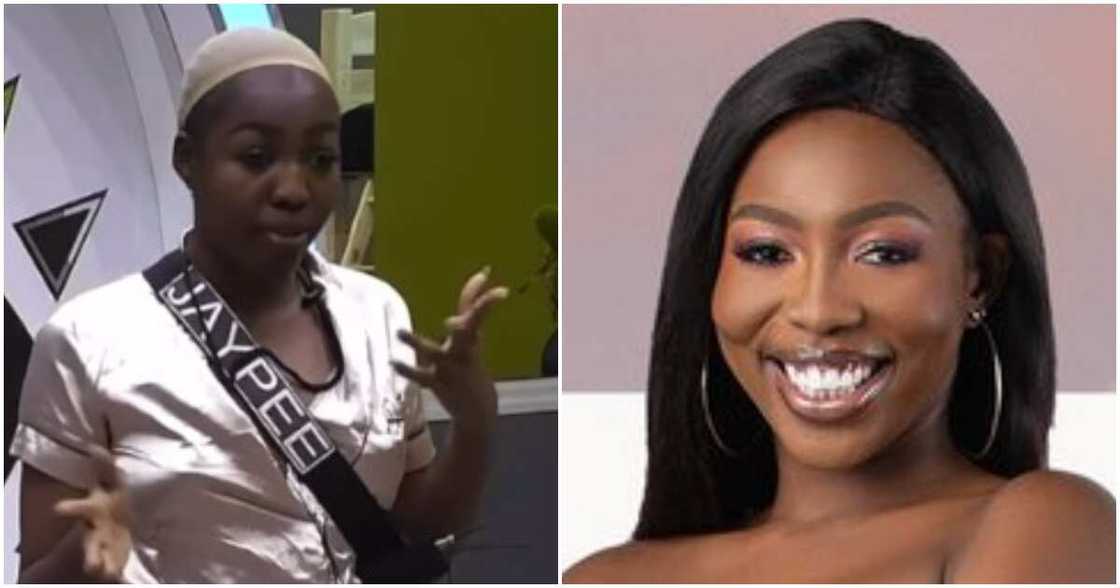 Jaypee, BBTitans Jaypee, BBTitans