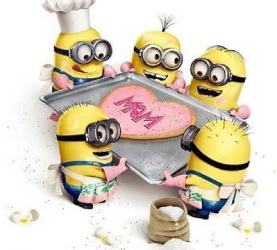 funny minion memes funny minion memes
