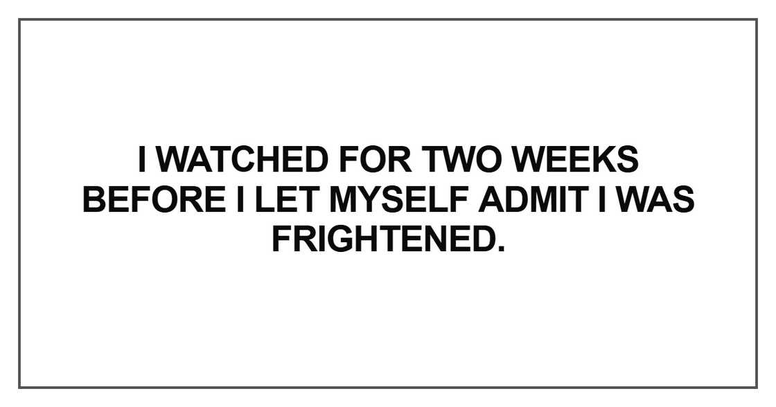 I watched for two weeks