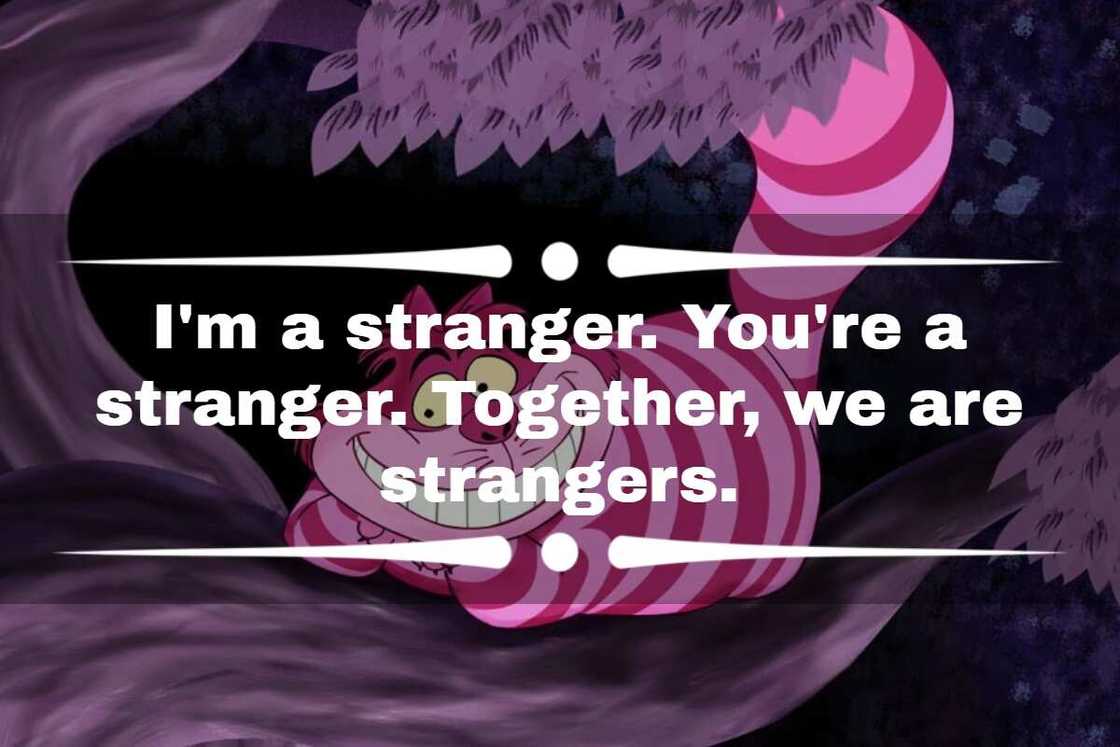 cheshire cat quotes