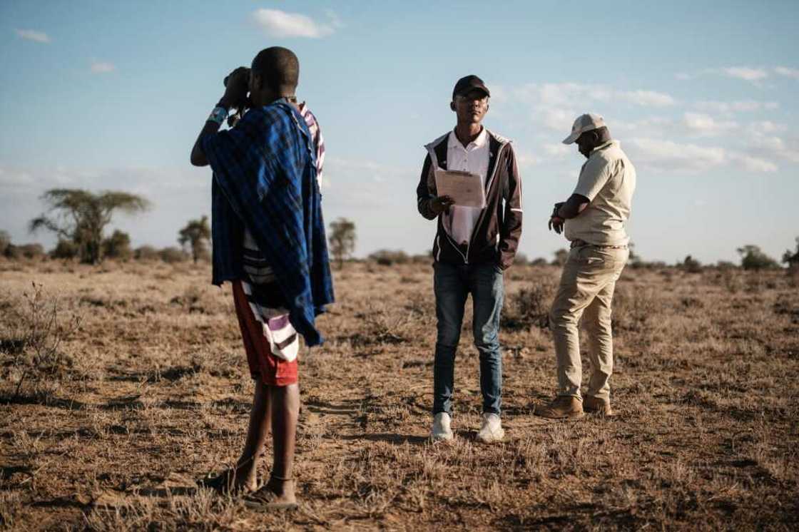 Team members are stationed at specific points to make a tally of all the animals seen and heard