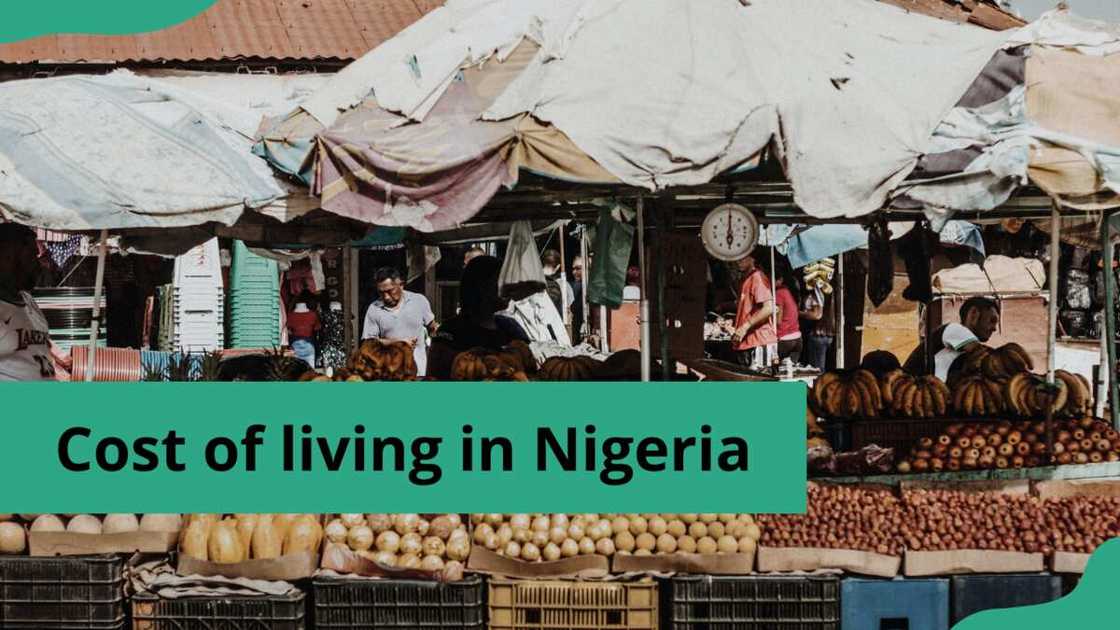 cost of living in Nigeria in 2023 cost of living in Nigeria in 2023