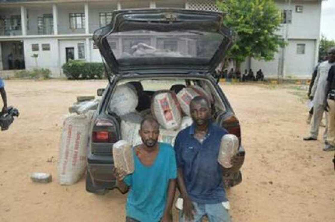 Hukumar yan sanda ta damke yan daba 100a jihar Kano (Hotuna) Hukumar yan sanda ta damke yan daba 100a jihar Kano (Hotuna)