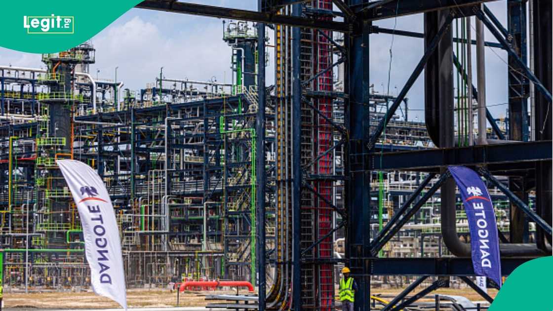 Dangote group wants new workers announces vacancies Dangote group wants new workers announces vacancies