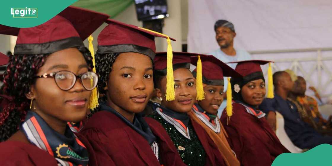 Student of First Technical University Student of First Technical University