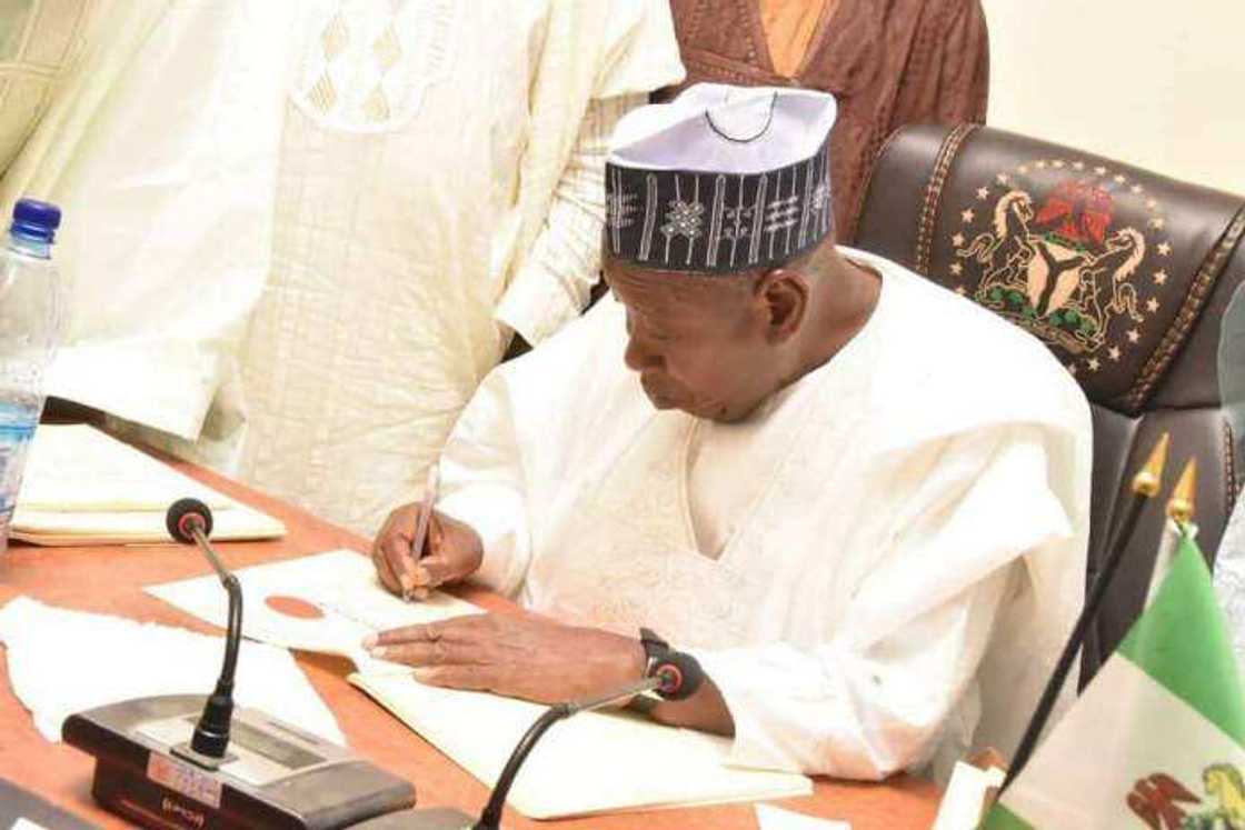 Kano emir has suspended a village head Kano emir has suspended a village head