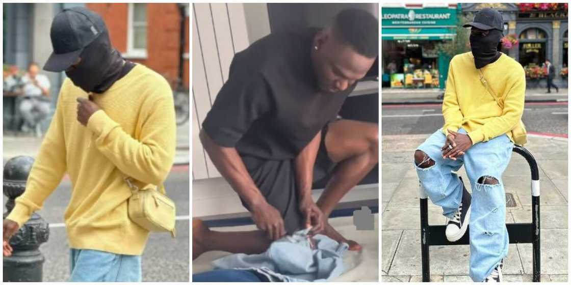 Photos of Spyro Photos of Spyro