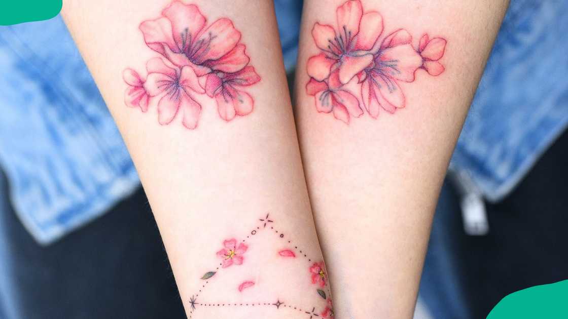 Cherry blossoms with constellation