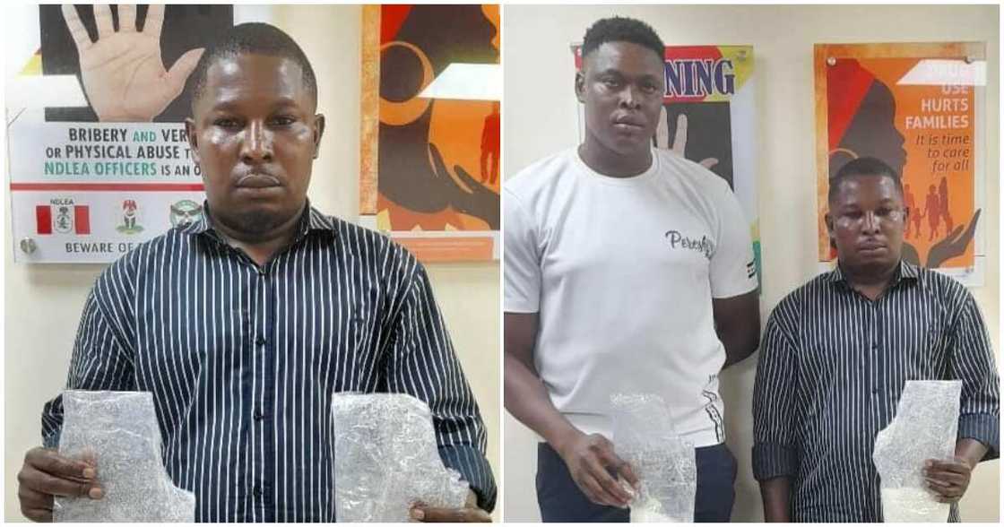NDLEA/mkpulummiri NDLEA/mkpulummiri